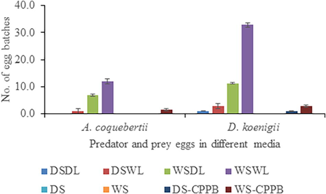 Number of egg batches laid by A. coquebertii and D. koenigii on different media. Dry Soil + Dry Leaves (DSDL), Dry Soil + Wet Leaves (DSWL), Wet Soil + Dry Leaves (WSDL), Wet Soil + Wet Leaves (WSWL), Dry Soil (DS), Wet Soil (WS), Dry Soil + Cylindrical Perforated Plastic Bottle (DS-CPPB), and Wet Soil + Cylindrical Perforated Plastic Bottle (WS-CPPB). Error bar within the column bar showing the standard error.