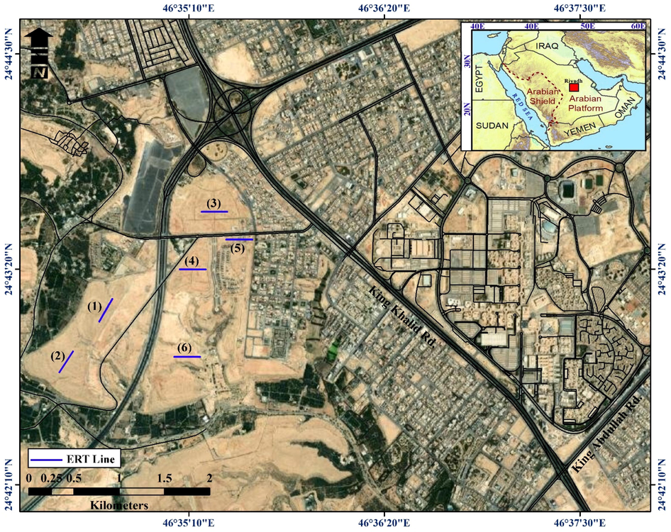 Location map of the study area including the surveyed profiles.