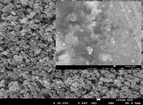 FESEM image of TiO2 and inset is the image of the blend.