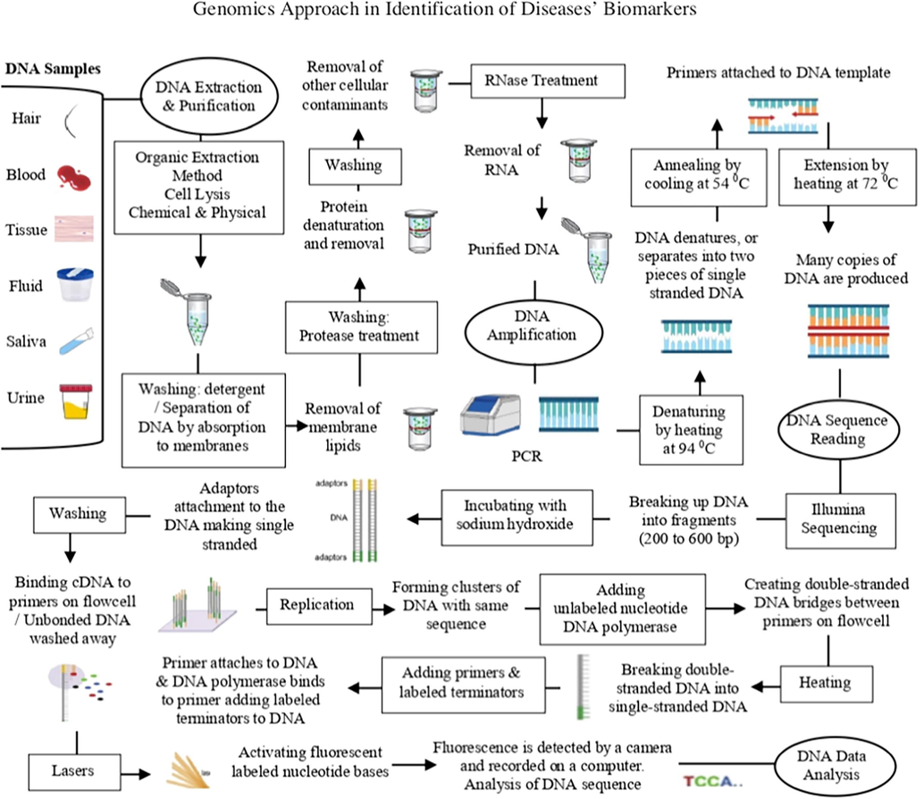 Genomic approach to identify disease’s biomarkers.