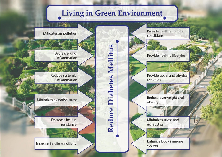 Possible mechanisms of how a green space environment reduces the diabetes mellitus.