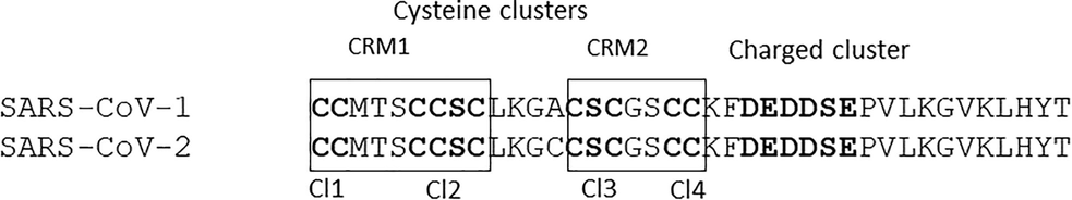 The pairwise alignment of SARS-CoV-1 and SARS-CoV-2 displaying the cysteine and charged clusters. Individual cysteine clusters like Cl1, Cl2, Cl3 and Cl4 are shown in bold text, broadly classified into CRM1 and CRM2.