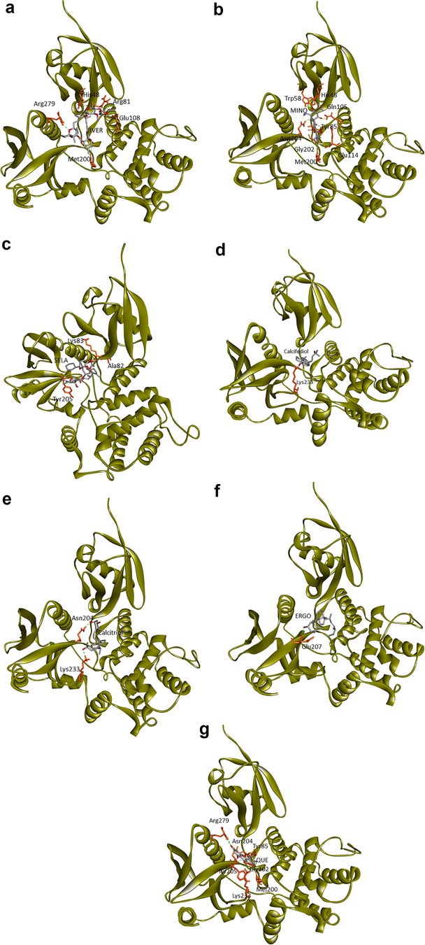 Protein-ligand docking of human ezrin protein with drug molecules: 4(a) ivermectin, 4(b) minocycline, 4(c) selamectin, 4(d) calcifediol, 4(e) calcitriol, 4(f) ergocalciferol, and 4(g) quercetin.