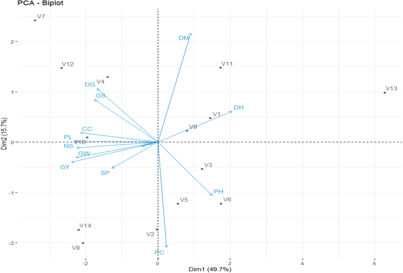 PCA biplot of wheat Genotypes under irrigated conditions. V1 = V-19503, V2 = V-19504, V3 = V-19521, V4 = V-19531, V5 = V-19542, V6 = V-19550, V7 = V-19554, V8 = V-19565, V9 = V-19566, V10 = V-19574, V11 = V-19589, V12 = V-19600, V13 = V-19602, V14 = V-19618.