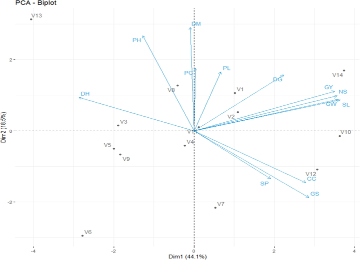 PCA biplot of wheat genotypes under drought conditions. V1 = V-19503, V2 = V-19504, V3 = V-19521, V4 = V-19531, V5 = V-19542, V6 = V-19550, V7 = V-19554, V8 = V-19565, V9 = V-19566, V10 = V-19574, V11 = V-19589, V12 = V-19600, V13 = V-19602, V14 = V-19618.