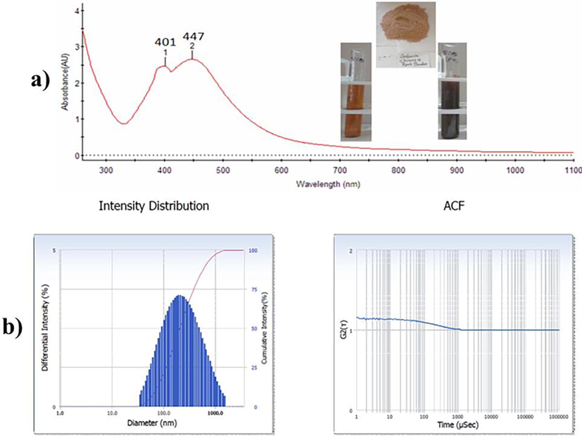 a) UV–Vis spectra of Sc-AgNPs; b) Nanoparticle size measurements and PDI analysis.