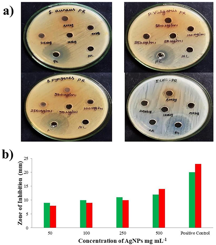 A. a. Antibacteral activity of Sc-AgNPs (inhibition of bacterial growth) against Staphylococcus aureus, Proteus vulgaris, Streptococcus pyogenes and Escherichia coli; b. Antifungal activity of Sc-AgNPs (inhibition of mycelial growth) against Aspergillus niger (green bar) and Candida albicans (red bar).mg mL−1.