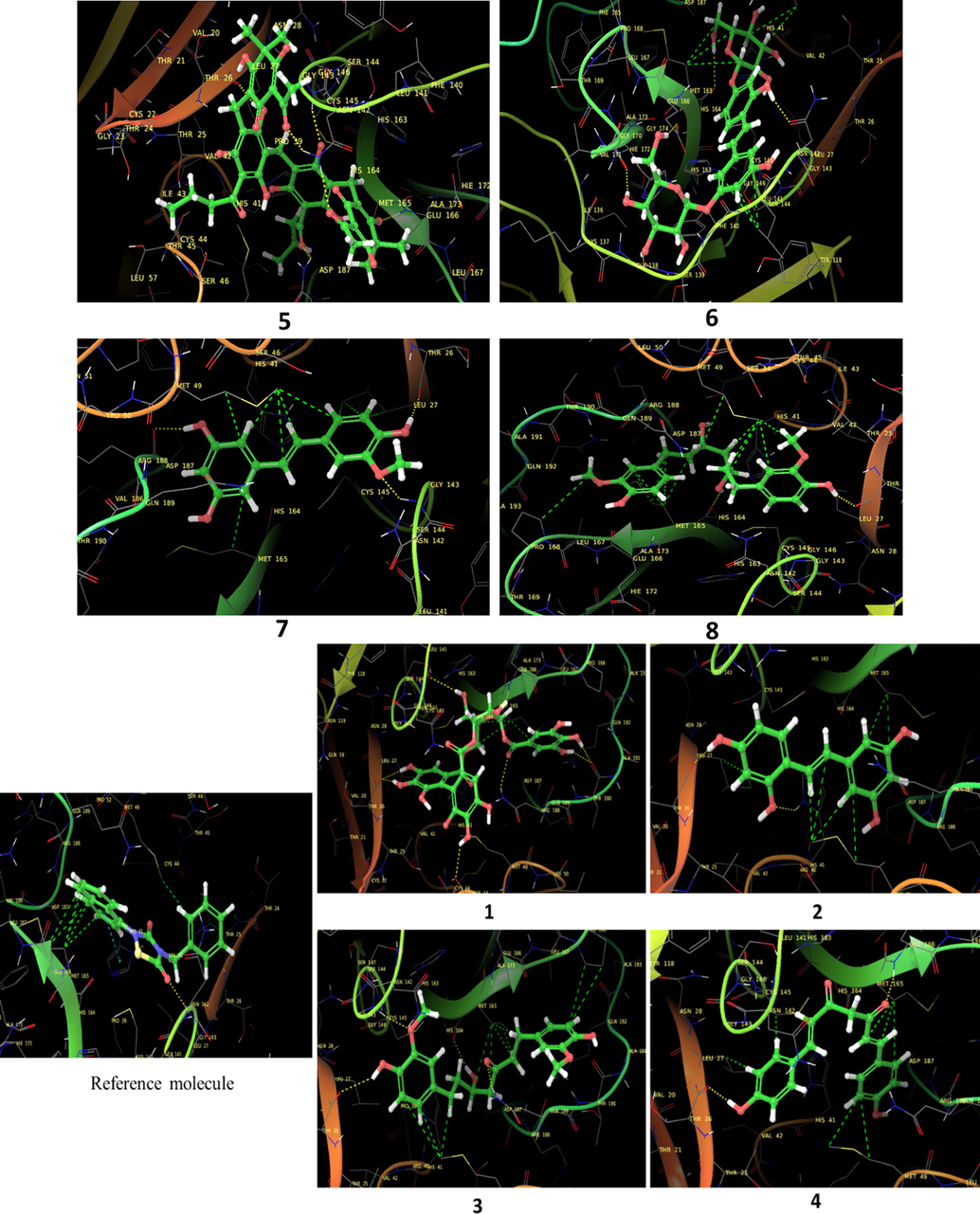 3D overlay of identified top HITs from 1 to 8 at the active site of COVID main protease enzyme. Yellow dash line indicate the polar H bonding interactions between the ligand atom and active site residues whereas green line displayed the hydrophobic interactions.