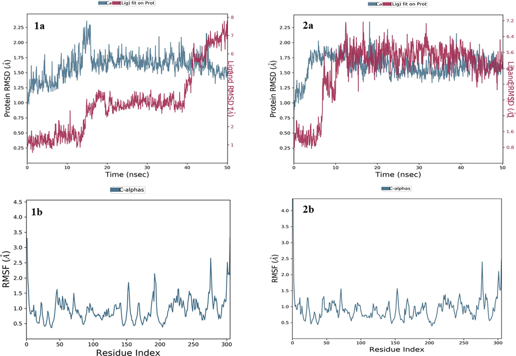 Structural changes (RMSD) over the entire trajectory run of 50 ns upon binding of ligands (1a: HIT1; 2a: HIT2) and Fluctuations of residues (RMSF) at the active site of on binding of ligands (1a: HIT1; 2a: HIT2) Corona virus (PDB id: 6LU7).