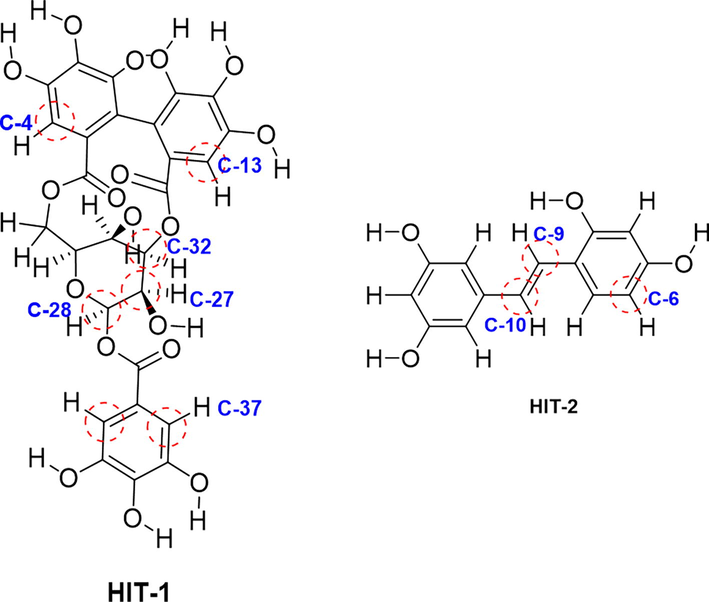 Depiction of different metabolic site in identified HIT-1 and HIT-2, predicted by SMARTCyp.