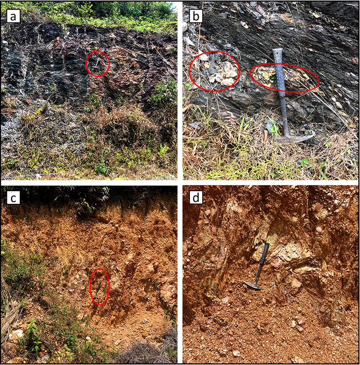 (a) Massive black shales beds with laminations (b) black shales with silty lenses and laminations (c) Massive red shale facies with sands at the top (d) Red weathered shale facies showing laminations.