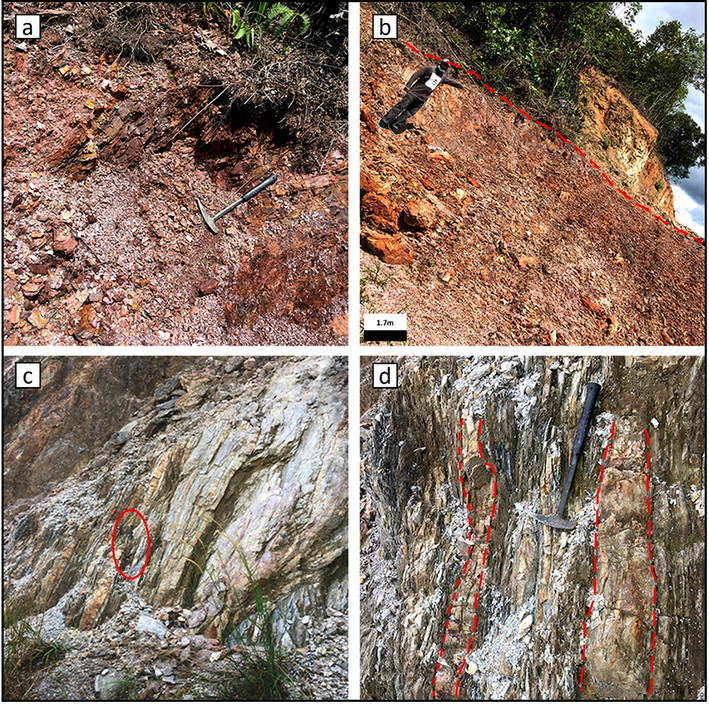 (a) Fissile dark brown shale facies (b) Evidence showing the dark brown shales are probably weathered light grey shale facies (c) Light grey shale facies showing thick laminations (d) Light grey shale facies with intrusions of quartzite.