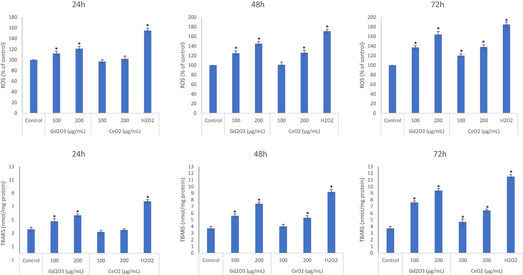 Comparative analysis on the induction of ROS due to NPs evaluated after exposure of 24 h (A), 48 h (B) and 72 h (C) at the concentrations of 100 μg/mL and 200 μg/mL. Similarly, LPO inducing potential due to NPs treatment in THP-1 cells were analyze at the three mentioned exposure periods (D, E, and F). Triplicates (n = 3) of each treatment group were used in each independent experiment. *Denotes a significant difference from the control (p < 0.05).