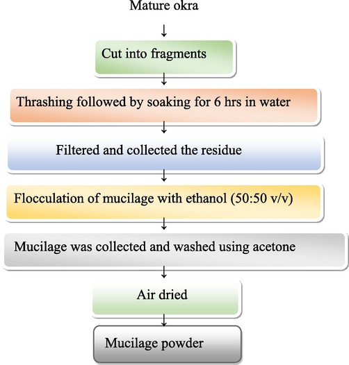 Process and preparation of mucilage from mature okra.