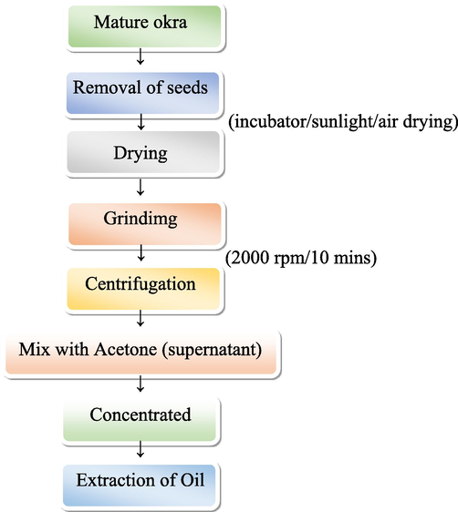 Process and preparation of seed oil from mature okra seeds.