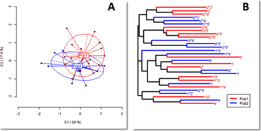 (A) Principal Coordinates Analysis (PCoA); (B) hierarchical clustering using the nearest neighbor method for the Methylated Sensitive Loci (MSL) in the self-pollinated (Pop.1) and original (Pop.2) maize populations (Hussein, 2018) .