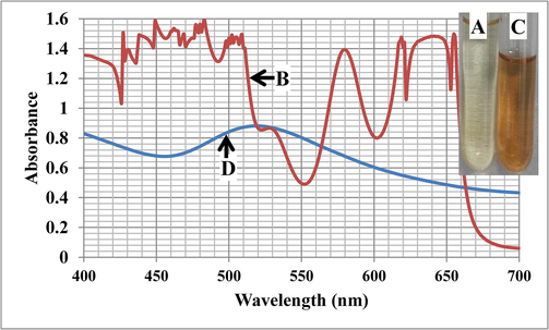 UV/Vis light monitoring of AuNPs synthesis by R. officinalis; A: Extract; B: extract light absorbance; C: extract after synthesis of AuNPs; D: extract + AuNPs light absorbance.