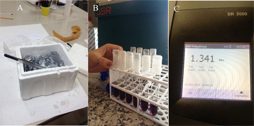 Determination of proline content in liquid nitrogen after flag leaves are harvested (A), preparation of proline standards (B) and Proline readings in the spectrophotometer (C).