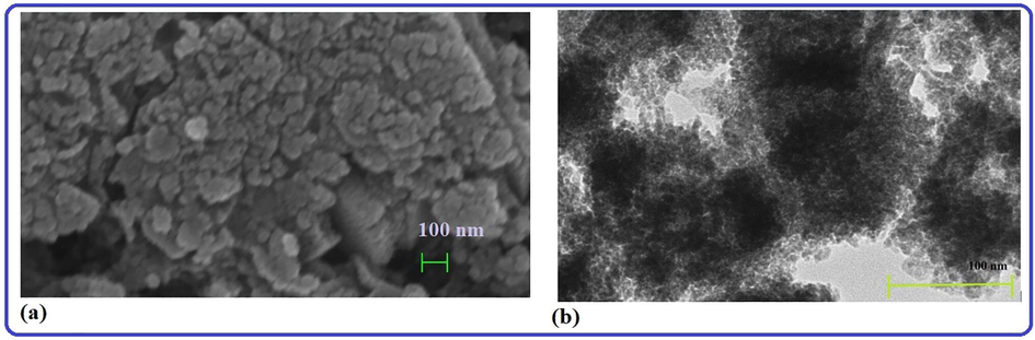 (a) SEM and (b) TEM image of the biosynthesized AgNPs obtained from strawberry fruit pomace extracts.