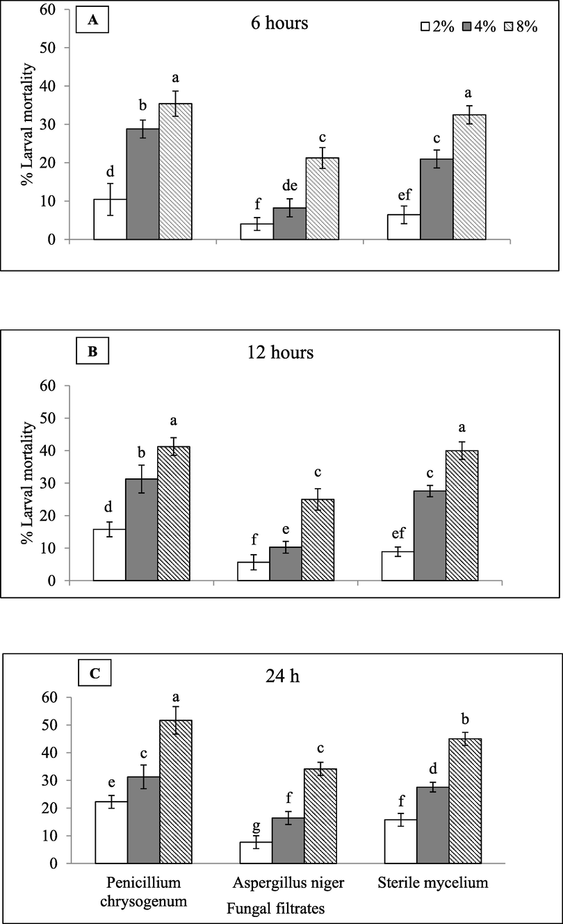 Mortality of M. javanicaJ2s effected by endophytic fungi culture filtrates after 6, 12 and 24 h.