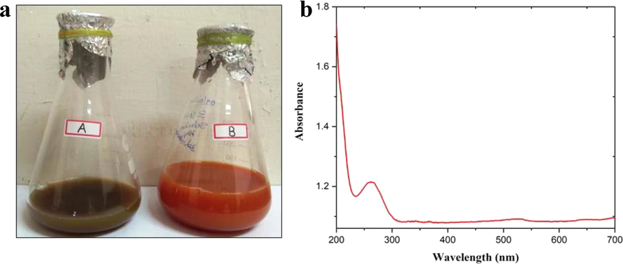 Characterizations of SeNPs synthesized from Goniothalamus wightii leaf extract: a) Color change occurs during SeNPs synthesis, b) Absorption peak noticed for the synthesized SeNPs in UV–vis.