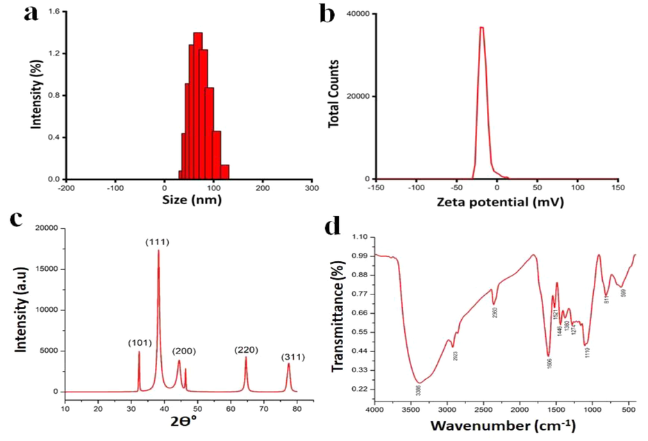 Characterizations of SeNPs synthesized using Goniothalamus wightii leaf extracts a) DLS b) Zeta, c) XRD, d) FT-IR.