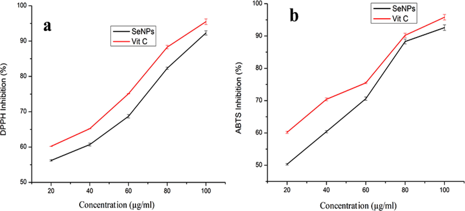 In vitro antioxidant activity of SeNPs synthesized from Goniothalamus wightii leaf extract. a) DPPH radical scavenging activity. b) ABTS+ radical scavenging activity.