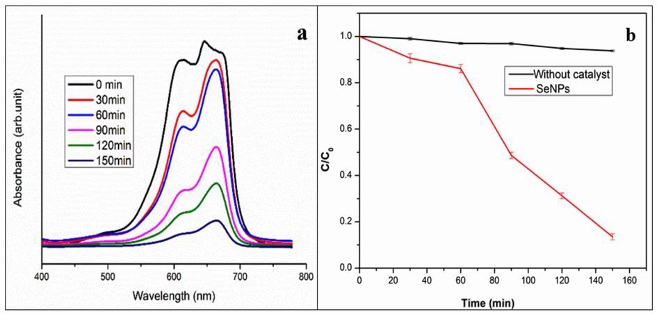 (a) Absorption spectrum of SeNPs biosynthesis from Goniothalamus wightii leaf extract effect on Methylene blue under sun light, (b) Phot catalytic of Methylene blue in the presence Gw-SeNPs and Control (without catalyst).