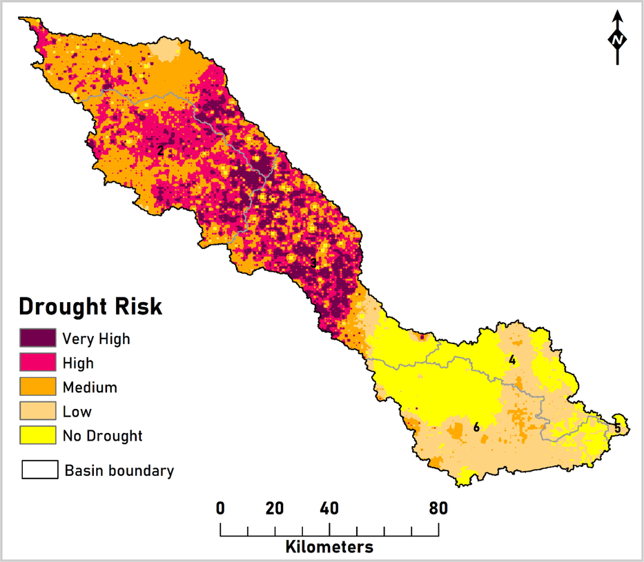 Spatial distribution of drought in the study area.