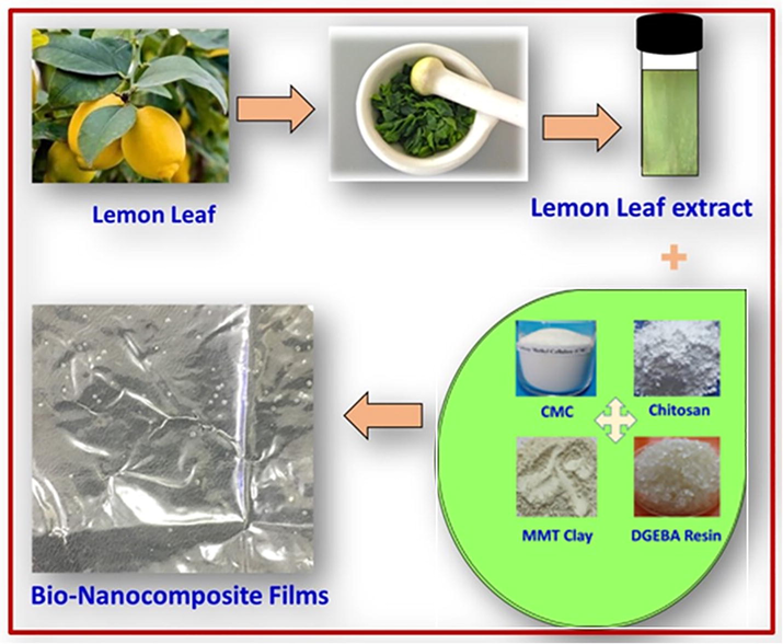 Schematic representation of the bio nanocomposite films prepared adding the lemon leaf extracts.