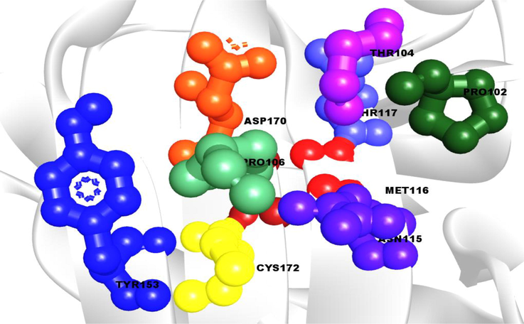 The active site and corresponding binding site of the VP26 protein are shown. The active sites (AS) of the VP26 protein are represented by a ball with red, green, yellow, and blue colors, which correspond to their binding site positions.