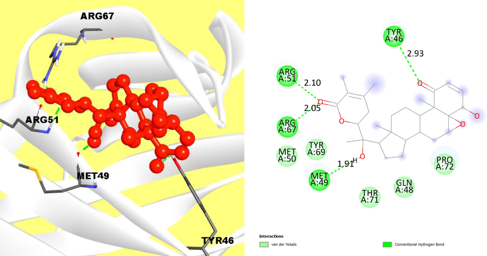 The interaction of protein and ligand between compound 118701104 (PubChem CID) and VP26 protein and left side representing 2D complex protein–ligand interaction.