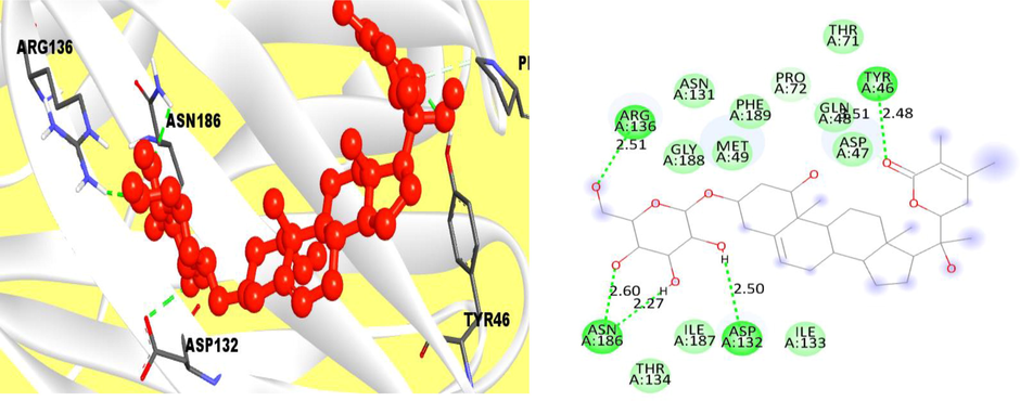 The interaction of protein and ligand between compound 11100411 (PubChem CID) and VP26 protein, and left side is representing 2D complex protein–ligand interaction.