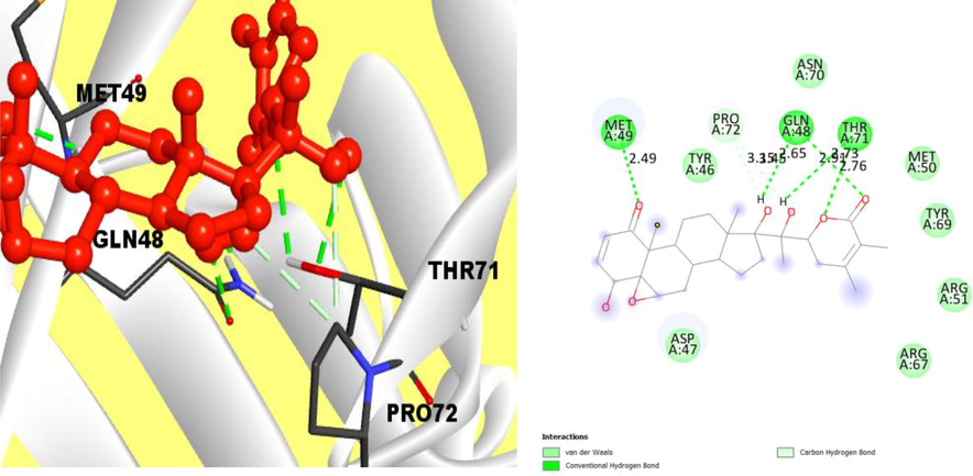 Interaction between the compounds CID: 23266161 and V26 protein. Left side indicates 3D interaction.