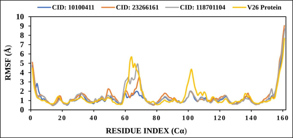 The line graph depicts the RMSF value of protein residue index Cα atoms of the complex structure. CID 10100411 (blue), CID 23266161 (red), CID118701104 (gray) and VP26 protein (blue) shows in separate colour.