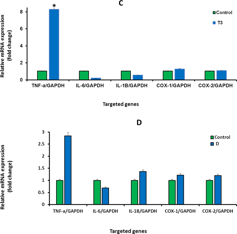 A-G: Shows the mRNA levels of inflammatory genes in the treated rats with high concentration (1.0 mg/kg) of IVM (A), with medium concentration (0.5 mg/kg) of IVM (B), with low concentration (0.25 mg/kg) of IVM (C), with 40 mg/kg of DMH (D), with combination of DMH and high dose of IVM (E), with combination of DMH and medium dose of IVM (F), with combination of DMH and low dose of IVM (G). Each value represents the mean ± SE. (n = 5), (*p < 0.05), (***p < 0.001) compared with untreated cells. T1: 1.0 mg/kg IVM. T2: 0.5 mg/kg IVM. T3: 0.25 mg/kg IVM. D: 40 mg/kg of DMH. TD1: 40 mg/kg of DMH + 1.0 mg/kg) of IVM. TD2: 40 mg/kg of DMH + 0.5 mg/kg) of IVM. TD3: 40 mg/kg of DMH + 0.25 mg/kg) of IVM.