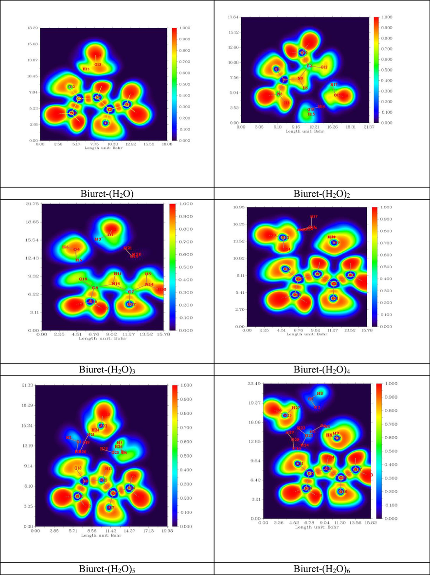 2D ELF representation of Biuret-water clusters.