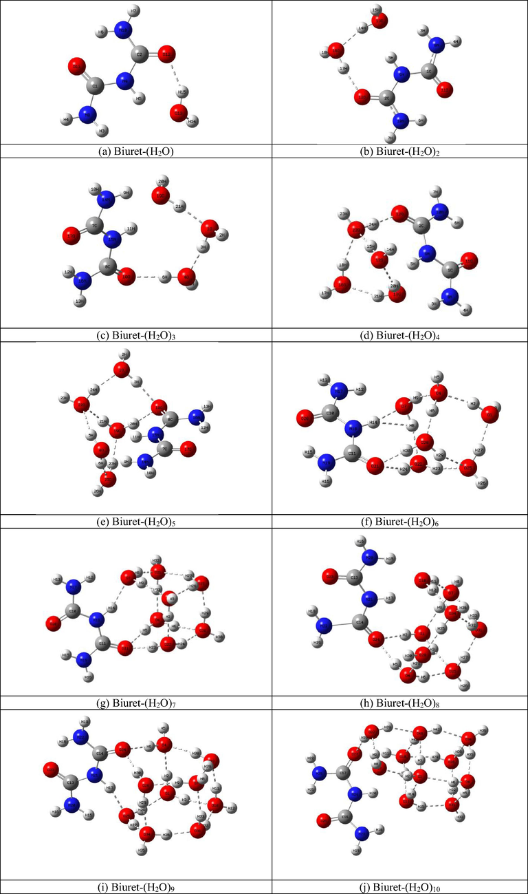 The Optimized structures of Biuret-water clusters.