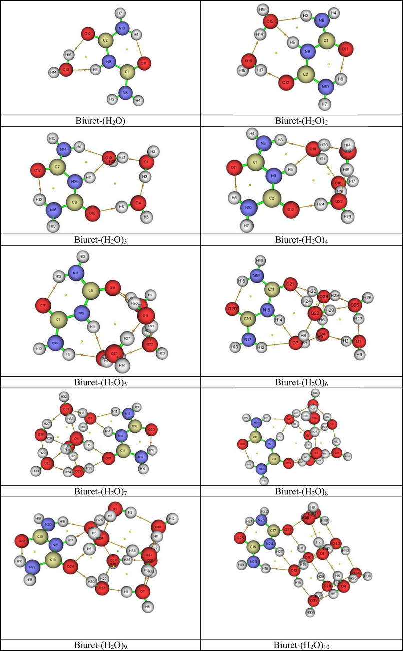 AIM graphical visualization of Biuret-water clusters.