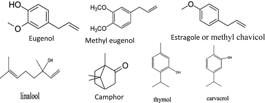 Molecular structure of some essential oil components.