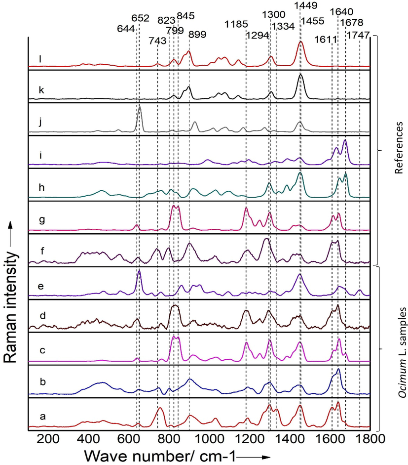 Raman spectra of: (a) Ocimum tenuiflorum, (b) Ocimum gratissimum, (c) Ocimum basilicum, (d) Ocimum × africanum, (e) Ocimum americanum, (f) eugenol, (g) estragole or methyl chavicol, (h) linalool, (i), citral,(j) eucalyptol, (k) Hexane, (l) Thymol.