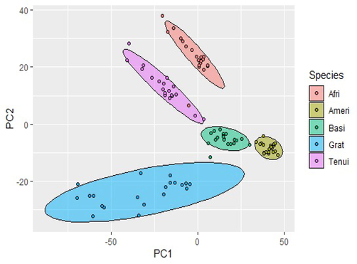 Principal Component Analysis (PCA) of Ocimum tenuiflorum (Tenui), Ocimum gratissimum (Grat), Ocimum × africanum (Afri), Ocimum basilicum (Basi), Ocimum americanum (Ameri).