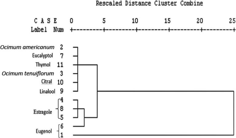 Dendrogram (Ward’s method) showing differentiation of essential oil based on the spectral data of Raman spectroscopy obtained from extracted oil and used standards. 1. Eugenol reference, 6. Ocimum gratissimum, 4. Estragole or methyl chavicol reference, 5. Ocimum × africanum, 8. Ocimum basilicum, 3. Ocimum tenuiflorum, 2. Ocimum americanum 7. Eucalyptol reference, 9. Linalool reference, 10. Citral reference, 11 Thymol reference.