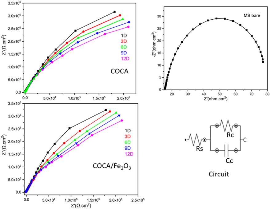 EIS spectra of COCA, COCA/Fe2O3 nanocomposite and bare MS in 3.5wt %NaCl solution.