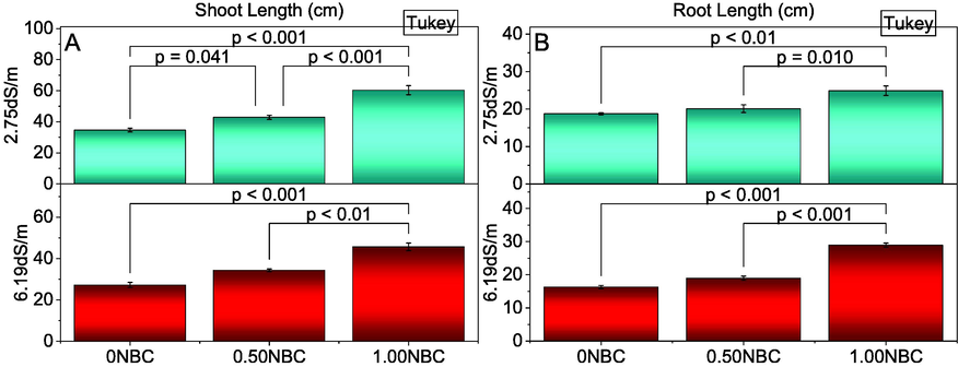 Effect of nitrate blended chemically produced carbon (NBC) different application rates on the shoot (A) and root length (B) of maize under normal (2.75 dS/m EC) and saline (6.19 dS/m EC) soil. Different values on bars are p-values computed by paired comparison Tukey test; p ≤ 0.05. 0NBC (control having no NBC); 0.50NBC (0.50 % w/w NBC applied in soil); 1.00NBC (1.00 % w/w NBC applied in soil). Red bars are indicating salinity stress. Green bars are indicating normal soil conditions.