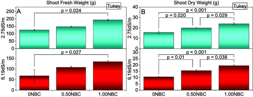 Effect of nitrate blended chemically produced carbon (NBC) different application rates on shoot fresh (A) and dry weight (B) of maize under normal (2.75 dS/m EC) and saline (6.19 dS/m EC) soil. Different values on bars are p-values computed by paired comparison Tukey test; p ≤ 0.05. Bars are means of three replicates. 0NBC (control having no NBC); 0.50NBC (0.50 % w/w NBC applied in soil); 1.00NBC (1.00 % w/w NBC applied in soil). Red bars are indicating salinity stress. Green bars are indicating normal soil conditions.