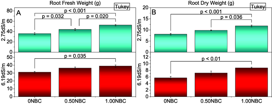 Effect of nitrate blended chemically produced carbon (NBC) different application rates on root fresh (A) and dry weight (B) of maize under normal (2.75 dS/m EC) and saline (6.19 dS/m EC) soil. Different values on bars are p-values computed by paired comparison Tukey test; p ≤ 0.05. Bars are means of three replicates. 0NBC (control having no NBC); 0.50NBC (0.50 % w/w NBC applied in soil); 1.00NBC (1.00 % w/w NBC applied in soil). Red bars are indicating salinity stress. Green bars are indicating normal soil conditions.