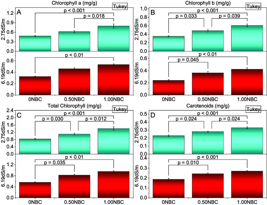 Effect of nitrate blended chemically produced carbon (NBC) different application rates on chlorophyll a (A), chlorophyll b (B), total chlorophyll (C) and carotenoids (D) of maize under normal (2.75 dS/m EC) and saline (6.19 dS/m EC) soil. Different values on bars are p-values computed by paired comparison Tukey test; p ≤ 0.05. Bars are means of three replicates. 0NBC (control having no NBC); 0.50NBC (0.50 % w/w NBC applied in soil); 1.00NBC (1.00 % w/w NBC applied in soil). Red bars are indicating salinity stress. Green bars are indicating normal soil conditions.