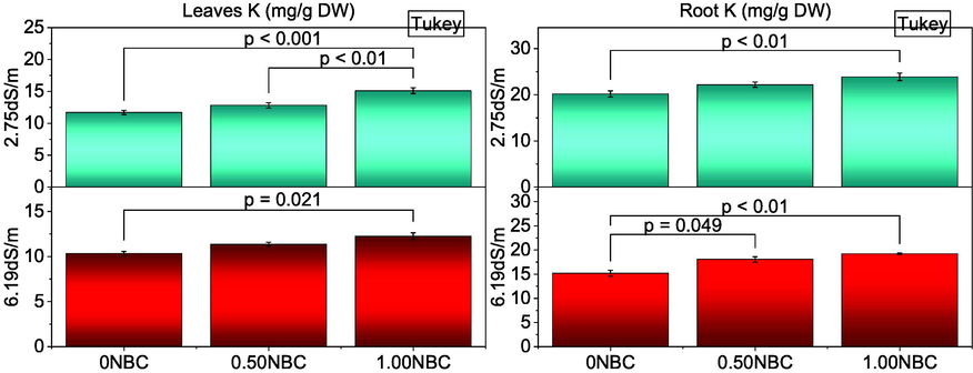 Effect of nitrate blended chemically produced carbon (NBC) different application rates on leaves K (A) and roots K (B) of maize under normal (2.75 dS/m EC) and saline (6.19 dS/m EC) soil. Different values on bars are p-values computed by paired comparison Tukey test; p ≤ 0.05. Bars are means of three replicates. 0NBC (control having no NBC); 0.50NBC (0.50 % w/w NBC applied in soil); 1.00NBC (1.00 % w/w NBC applied in soil). Red bars are indicating salinity stress. Green bars are indicating normal soil conditions.