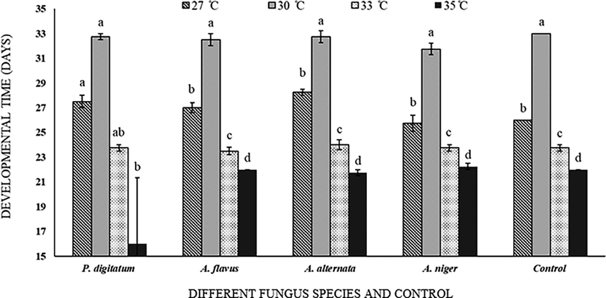 Callosobruchus maculatus development rate on fungal infected and non-infected C. arietinum at different temperatures. Bars on each column represents standard error (±SE). Duncan test at P = 0.05. (Different fungus species and control are present on X-axis, developmental time at different temperatures is on Y-axis).